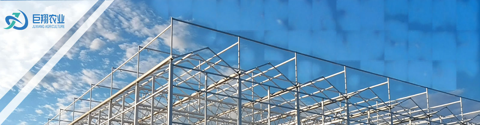 Multi Span Plastic Film Greenhouse