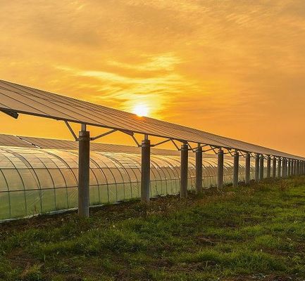 Building Materials Steel Structure Multi-Span Arch Type Photovoltaic Greenhouses jx-SG-9