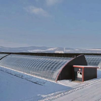 Arched Roof Aquaculture Vegetable Film Sunlight Greenhouse for US Strawberry Flower