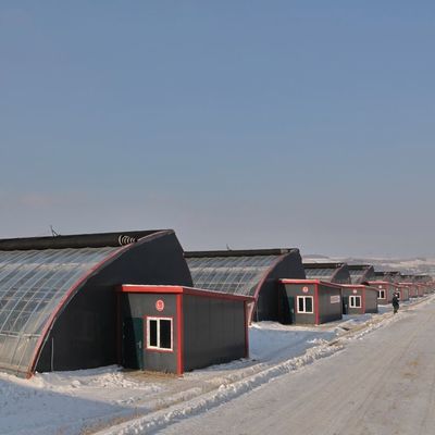 2000.000kg Package Gross Weight Advanced Vegetable Growing Sunlight Greenhouse System