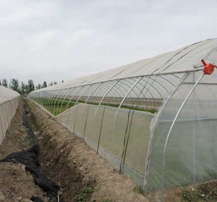 Initial Payment Large Pepper and Flower Hydroponic with Film Greenhouse Full Payment