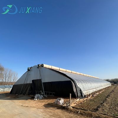 Hydroponics Growing System for Large-Scale Agriculture in Large JX-A004 Greenhouse