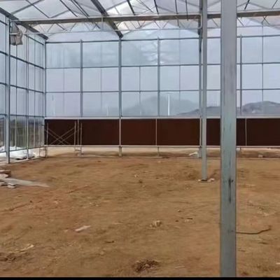 JX-A006 Large Size Venlo PC Polycarbonate Greenhouse for Commercial and Agricultural