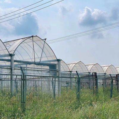 Double Arch Beam Sunlight Greenhouse with Snow Vibrator Durable and Weather-Resistant
