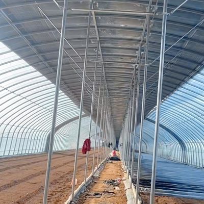 Commercial Greenhouse Single Span Tunnel Film Greenhouse with 30 Days Return Guarantee