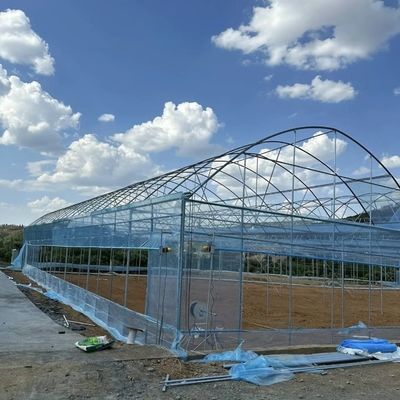 Arch Type Plastic Agriculture Greenhouse for Tomato/Cucumber Strawberry with Hydroponics Growing System