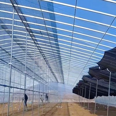 Large Single Layer Film Tunnel Greenhouse for Year-Round Cultivation Currency US