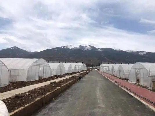 20.000kg Package Gross Weight Film Cover Water Pipe Hydroponics Greenhouse Solution