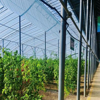 PE Film Plastic Agriculture Greenhouse Solution Package Size 50.00cm * 60.00cm * 50.00cm