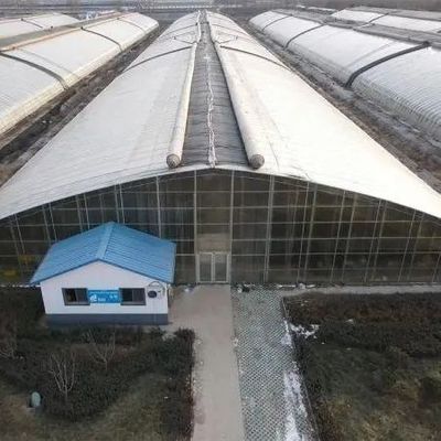 PE Film Plastic Agriculture Greenhouse Solution Package Size 50.00cm * 60.00cm * 50.00cm