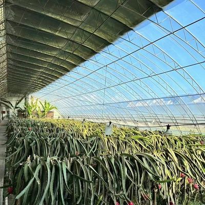 Origin Eco Greenhouse System with Film Cover Material 20.000kg Package Gross Weight