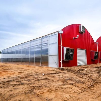 Origin Eco Greenhouse System with Film Cover Material 20.000kg Package Gross Weight