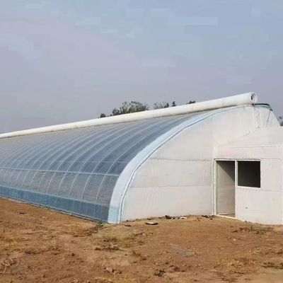 Origin Eco Greenhouse System with Film Cover Material 20.000kg Package Gross Weight
