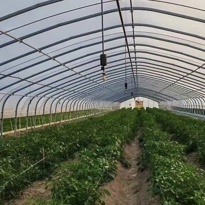 Polytunnel Plastic Tunnel Single Span Agricultural Greenhouse for Customized Request