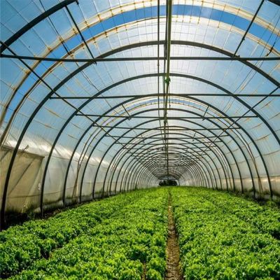 Polytunnel Plastic Tunnel Single Span Agricultural Greenhouse for Customized Request