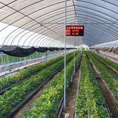 Polytunnel Plastic Tunnel Single Span Agricultural Greenhouse for Customized Request