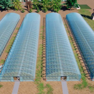 Polytunnel Plastic Tunnel Single Span Agricultural Greenhouse for Customized Request