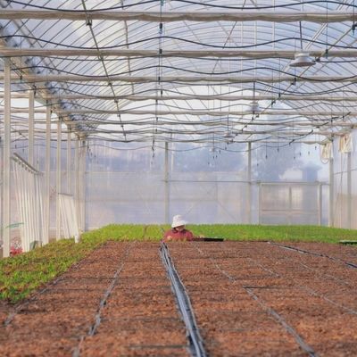 Drip Irrigation Eco Greenhouse System About Shipping Cost and Estimated Delivery Time