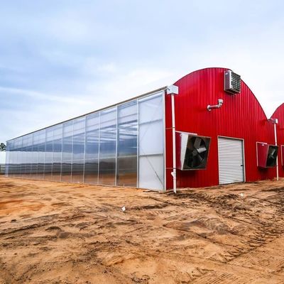 Drip Irrigation Eco Greenhouse System About Shipping Cost and Estimated Delivery Time