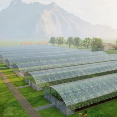 US 20/Piece Vegetable Greenhouse with Single-Span Agriculture Tunnel Plastic Film