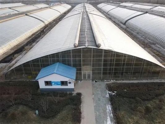 Tech Double Layer Agricultural Plastic Film Hydropoinics Greenhouses for Aquaculture