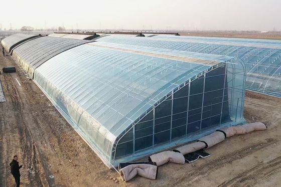 Tech Double Layer Agricultural Plastic Film Hydropoinics Greenhouses for Aquaculture