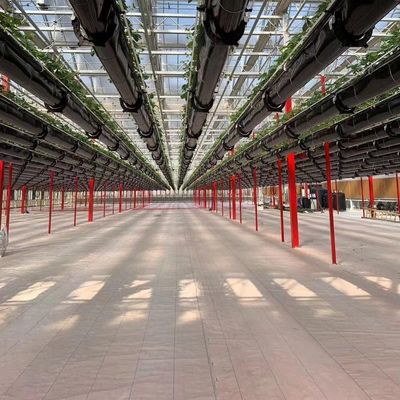 Industrial Tunnel Film Multispan Greenhouses with Hydroponic Technology and Materials