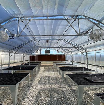 Industrial Tunnel Film Multispan Greenhouses with Hydroponic Technology and Materials