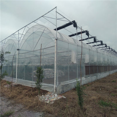 Multi Span PVC Pipe Eco Greenhouse at Affordable Package Size 50.00cm * 60.00cm * 50.00cm