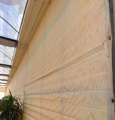 Multi Span PVC Pipe Eco Greenhouse at Affordable Package Size 50.00cm * 60.00cm * 50.00cm