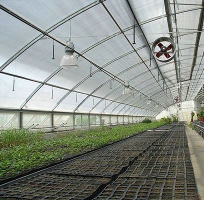 Multi Span PVC Pipe Eco Greenhouse at Affordable Package Size 50.00cm * 60.00cm * 50.00cm