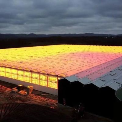 20GP 40GP 40HC Steel-Plastic Building Materials Greenhouse for Medical Plant/Mushroom