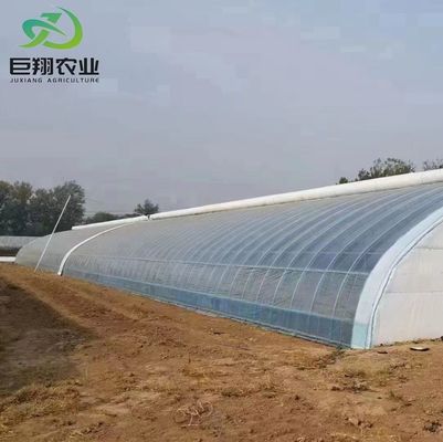 20GP 40GP 40HC Steel-Plastic Building Materials Greenhouse for Medical Plant/Mushroom