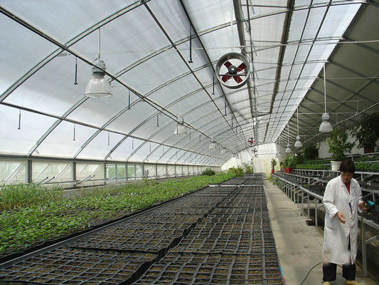 20.000kg Package Gross Weight Multi Span Tomato Cucumber Strawberry Growing Greenhouse
