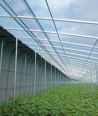 20.000kg Package Gross Weight Multi Span Tomato Cucumber Strawberry Growing Greenhouse
