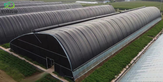20.000kg Package Gross Weight Multi Span Tomato Cucumber Strawberry Growing Greenhouse