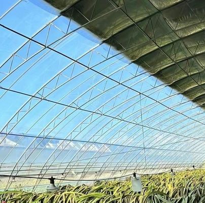 Plastic Sheet Blackout Greenhouse for Seedling Cultivation and Medical Plant/Mushroom