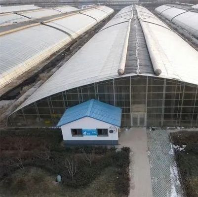 Plastic Sheet Blackout Greenhouse for Seedling Cultivation and Medical Plant/Mushroom