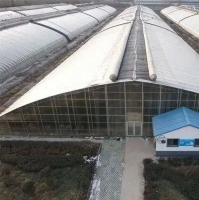 Initial Payment Film or Polycarbonate PC Covered Double Arch Beam Tunnel Greenhouse