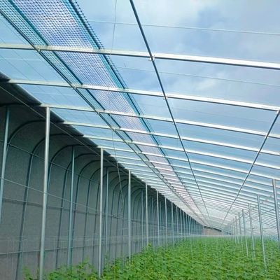 US Agricultural Multi Span Tunnel Plastic Film Greenhouses with Hydroponic System