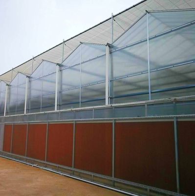 US Agricultural Multi Span Tunnel Plastic Film Greenhouses with Hydroponic System