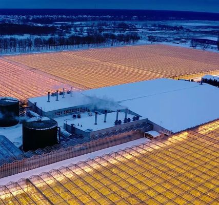 Initial Payment Film or Polycarbonate PC Covered Double Arch Beam Tunnel Greenhouse