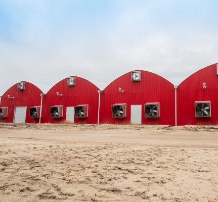 US Agricultural Multi Span Tunnel Plastic Film Greenhouses with Hydroponic System