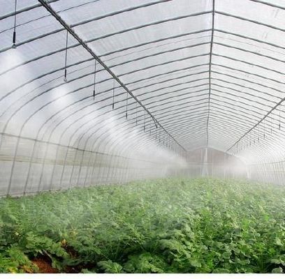 Initial Payment Film or Polycarbonate PC Covered Double Arch Beam Tunnel Greenhouse