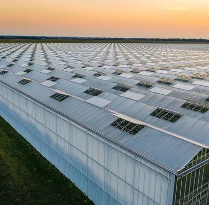 Transform Your Farming Experience with Tomato Cucumber Strawberry Hydroponics System