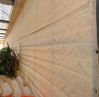 Transform Your Farming Experience with Tomato Cucumber Strawberry Hydroponics System