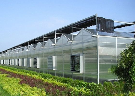 Multi-Span Venlo Glass Greenhouse with Cocopeat Hydroponics System and Customization