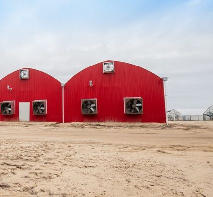 Blackout Mushroom Greenhouse for Large-Scale Mushroom Production and Cultivation