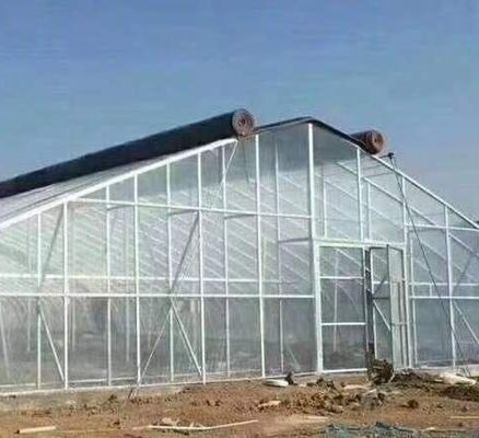 Blackout Mushroom Greenhouse for Large-Scale Mushroom Production and Cultivation