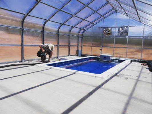 Multi-Span Tunnel Vegetable Production Greenhouse with 1 Square Meter Minimum Order